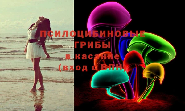 spice Вязьма